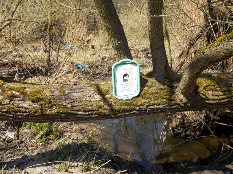 Soubor:Ohře 1.jpg
